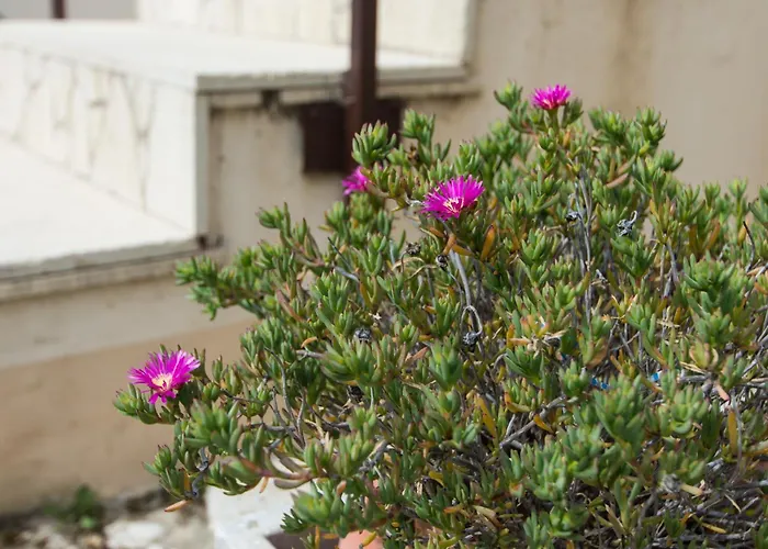 Séjour à la ferme Relais Passamonte Resort&rooms