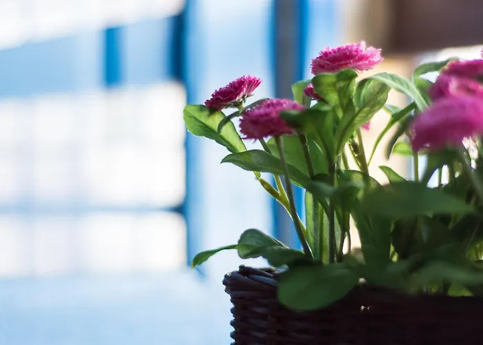 Séjour à la ferme Relais Passamonte Resort&rooms Chiaramonte Gulfi